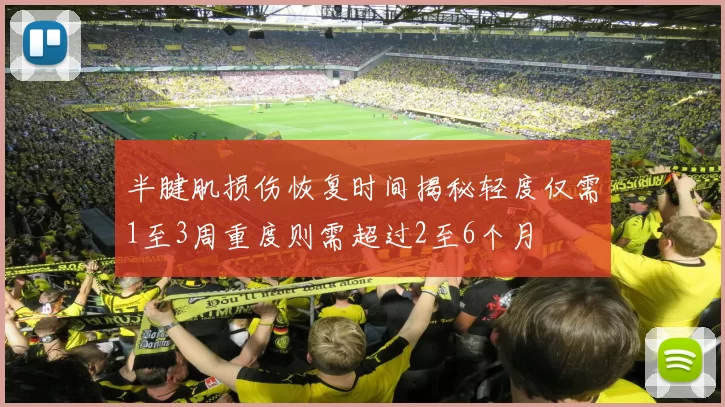 半腱肌损伤恢复时间揭秘轻度仅需1至3周重度则需超过2至6个月